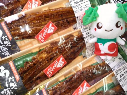 うなぎ蒲焼がお買い得！_