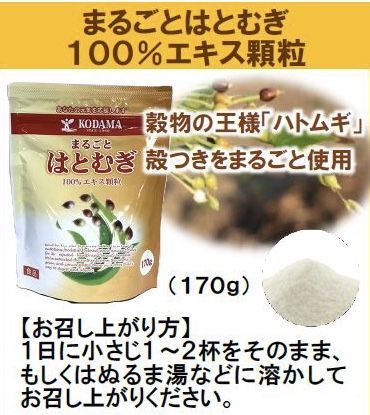夏の大感謝祭　開催中です