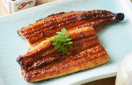 夏本番！8月のおすすめ旬食材！