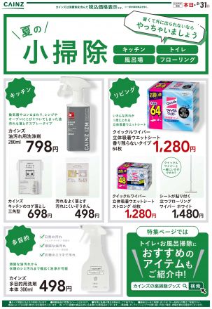 夏の小掃除