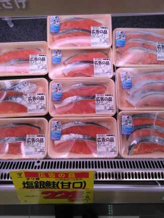 本日の広告の品！