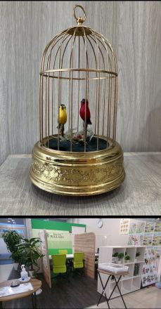 買取わかばゆめタウン南行橋店よりお知らせ！