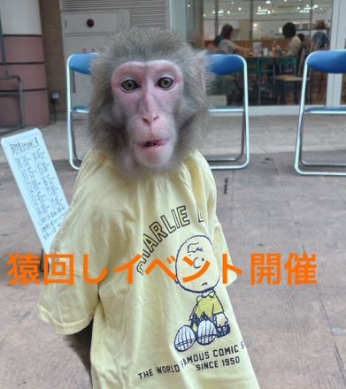 猿回しイベントのご案内