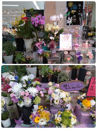 花恋よりお知らせ
