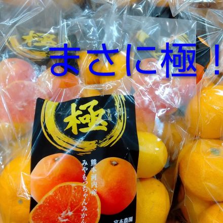 おすすめ☆☆☆極みかん