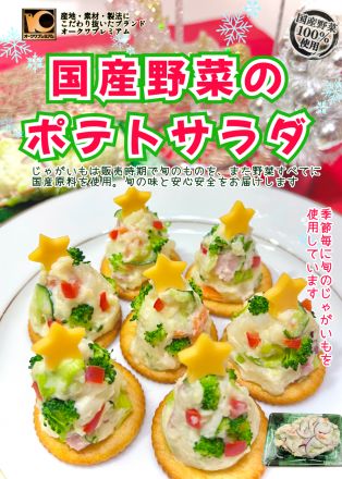 ＊：.｡☆メリークリスマス☆。.:＊_