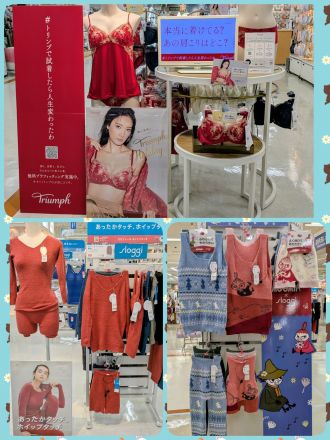 ブランド肌着トリンプに新作入荷しました。