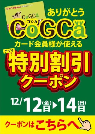 コジカ会員様が使える「アプリクーポン」開催