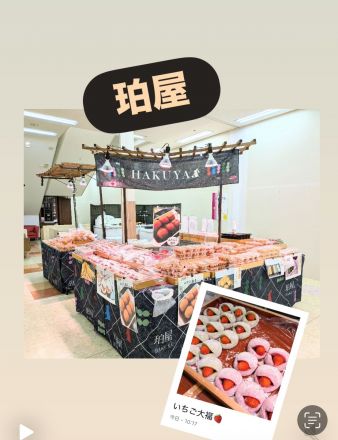 〈期間限定〉珀屋