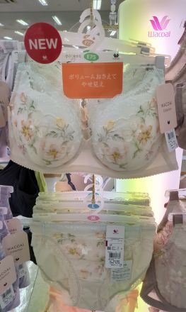 ワコールの小さく見せるブラ