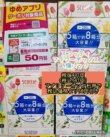 スコッティ箱ティッシュがお買い得♪