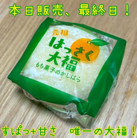 本日最終日！『はっさく大福』！