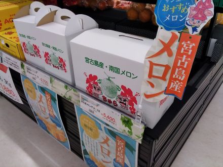 宮古島産メロン入荷しました！