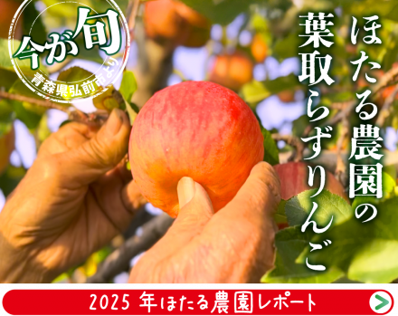 【新入荷】青森県産ほたる農園の葉取らずりんご入荷しました！