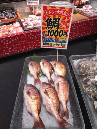 今週は真鯛がお買得！
