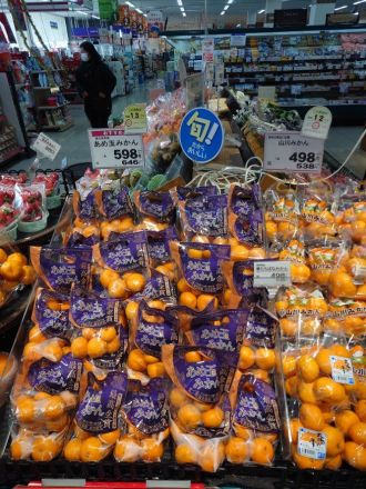 本日のおすすめは！！