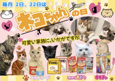 ＊：.｡ネコちゃんの日☆。.:＊_