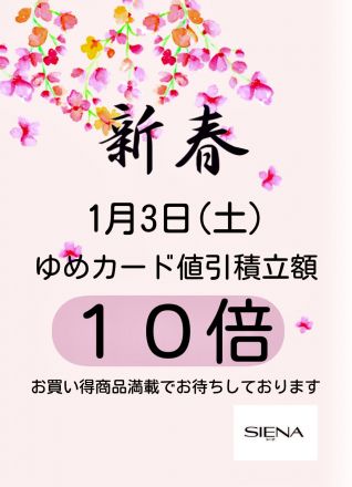 シーナ　新春ゆめカード10倍
