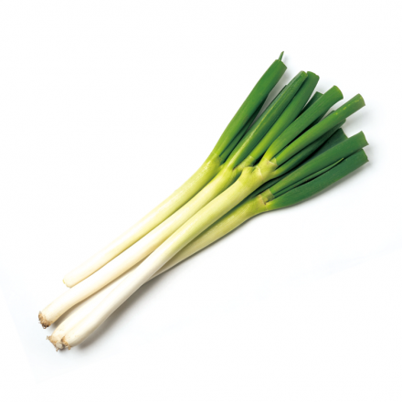 冬も真っ盛り！1月の旬の食材をご紹介