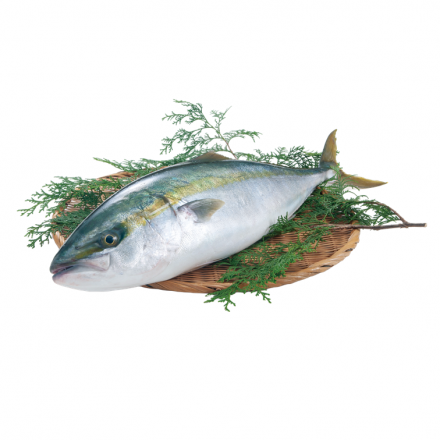 冬も真っ盛り！1月の旬の食材をご紹介