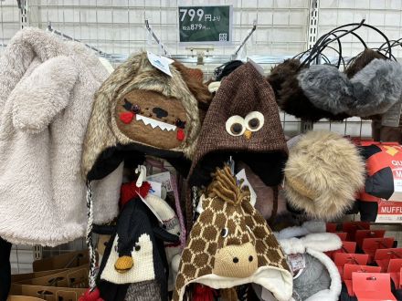 【81％OFF】knitwitsのニット帽が入荷しました！【店舗限定】