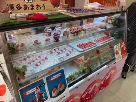 期間限定ショップ好評営業中！