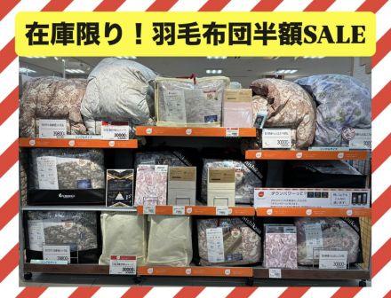 羽毛布団がお買い得！