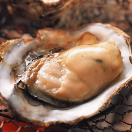 春の予感 2月の旬食材をご紹介！