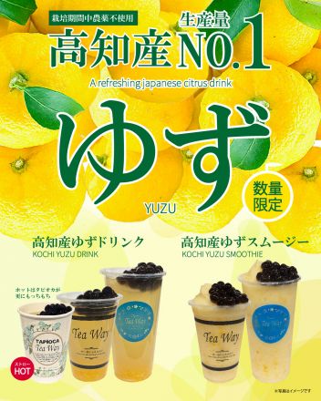 高知県産ゆずシリーズ　ティーウェイ