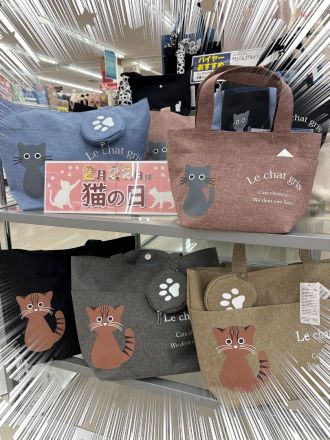 2月22日は『猫の日』！_