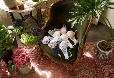 【WACOAL】26春夏コレクション先行ご予約会のご案内