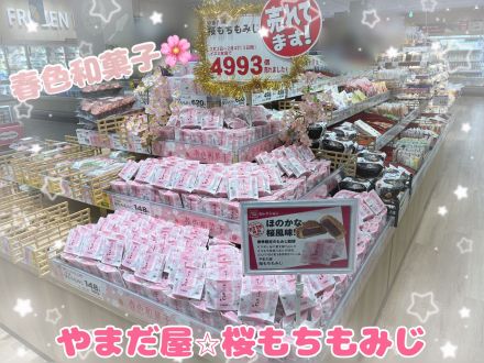 春の和菓子入荷しております♪