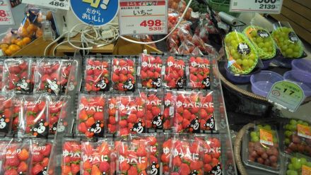 本日のおすすめは！！