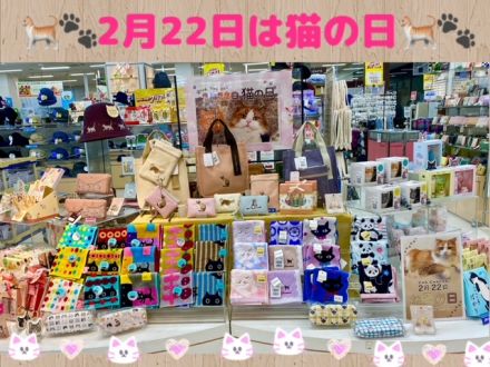 ＼2月22日は猫の日／