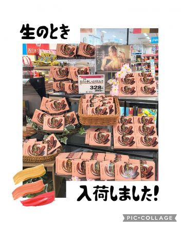 生のとき★入荷しましたー！