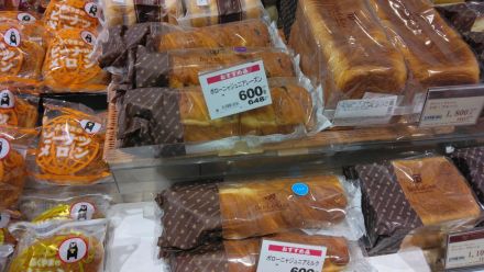 ボローニャ新商品！！