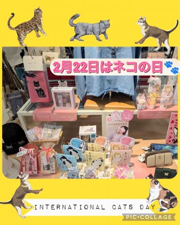 2/22は猫の日