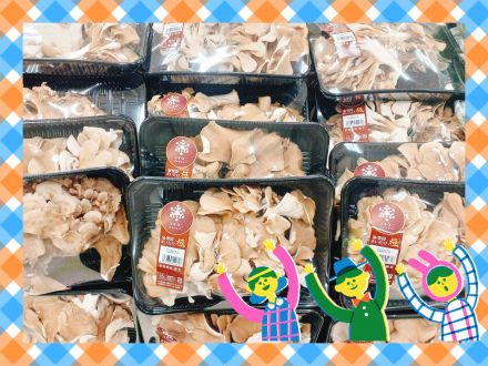 アプリクーポンご利用でお買い得