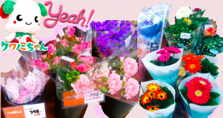 お花　入荷中!!_