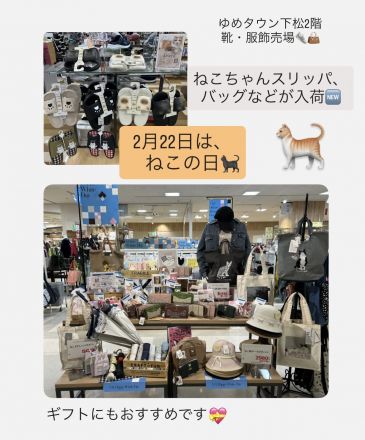 2/22は、猫の日。