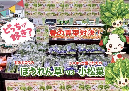 ＊：.｡☆春の青菜対決☆。.:＊_