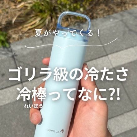 夏がやってくる！ゴリラ級の冷たさ冷棒ってなに？！