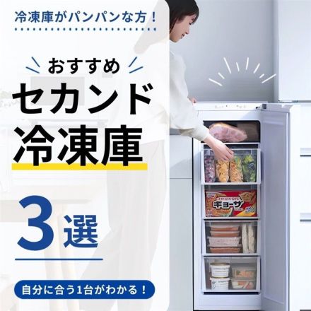 セカンド冷凍庫3選