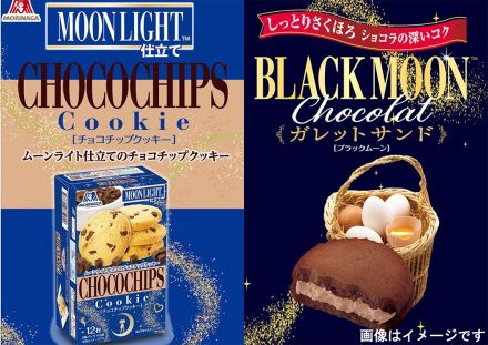 ムーンライト仕立てのチョコチップクッキー ブラックムーン ガレット