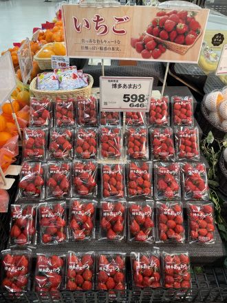 桃の節句 青果 イチオシ商品