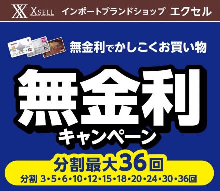 11/1(金)～無金利セール！