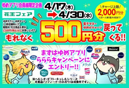 必ずもらえる花王フェア実施中!!