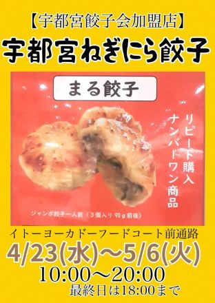 お待たせしました！人気の【宇都宮ねぎにら餃子】催事のお知らせ