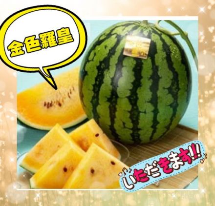 金色羅皇スイカ