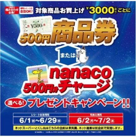 商品券かnanacoチャージキャンペーン